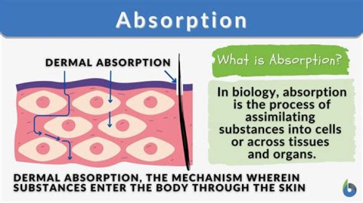 What does absorption mean in simple terms
