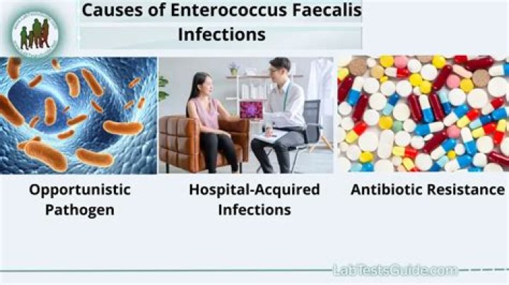 What does Alcaligenes faecalis cause