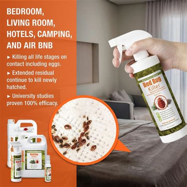 What does bed bug spray do to humans