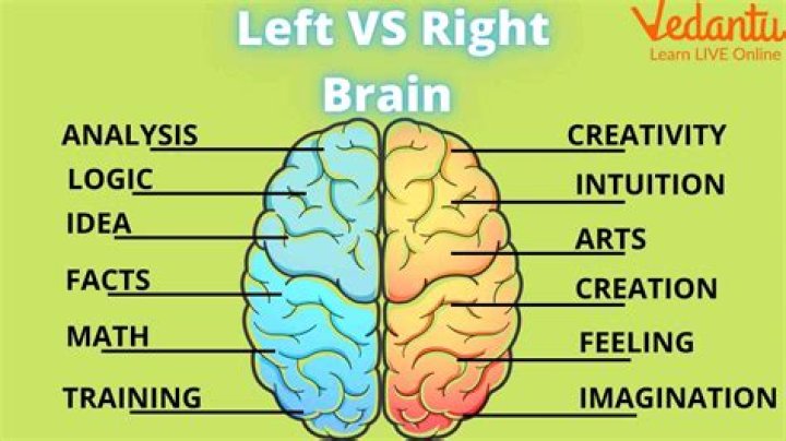 What does brain sparing mean