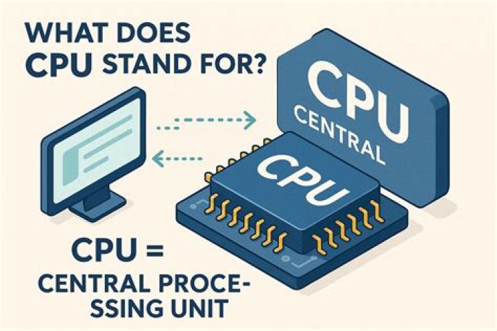 What does CPHR stand for
