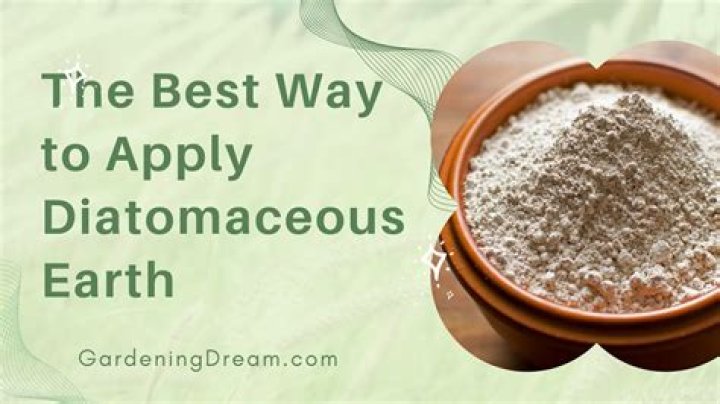 What does diatomaceous earth do for the body