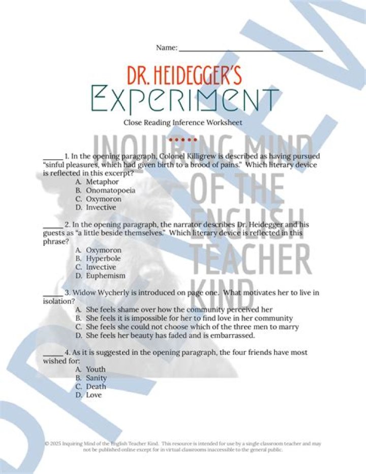 What does Dr Heidegger learn from his experiment