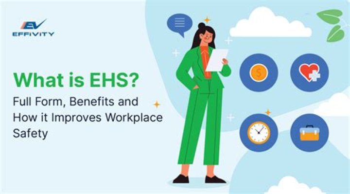 What does EHS stand for in manufacturing