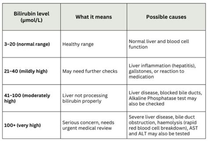 What does hyperbilirubinemia mean