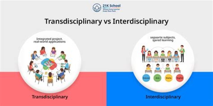 What does interdisciplinary team mean