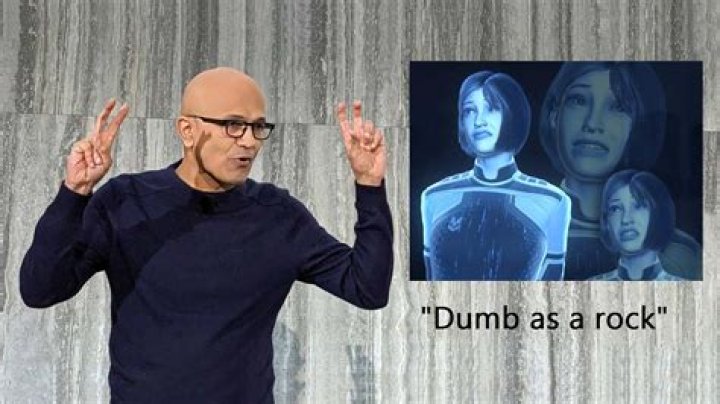 What does it mean dumb as a rock