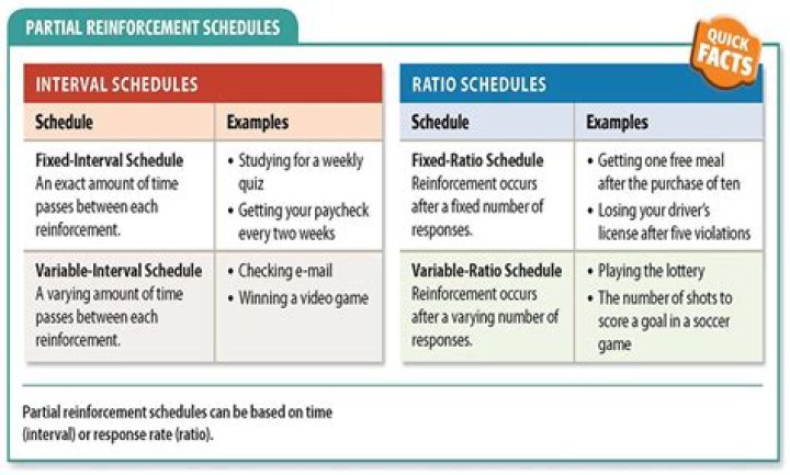 What does it mean to thin the reinforcement schedule