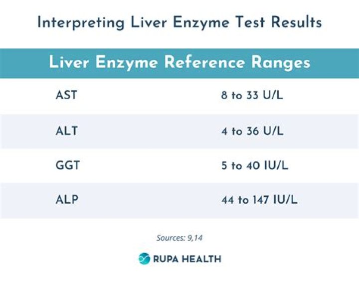 What does it mean when your liver enzymes are low