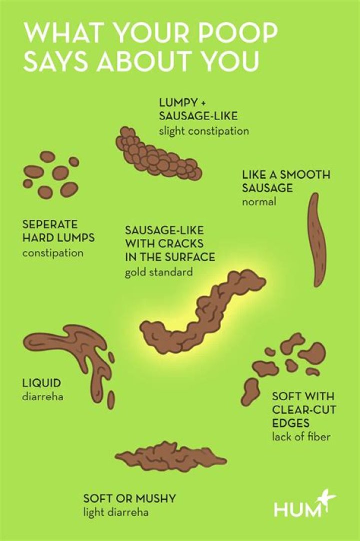 What does it mean when your poop smells like sulfur