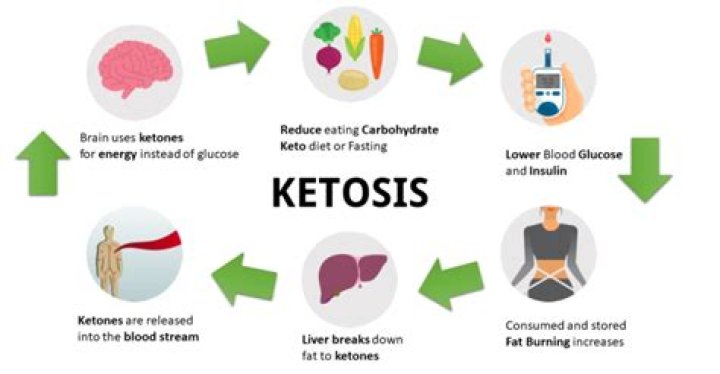 What does ketosis mean