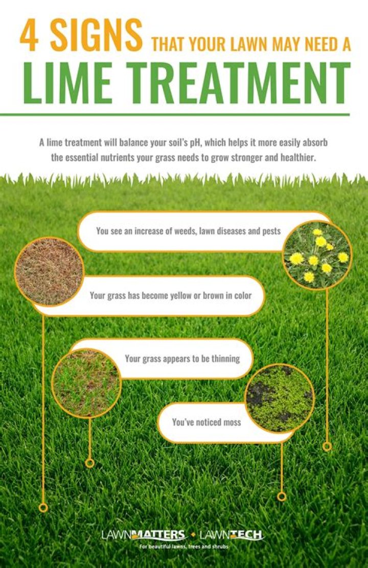 What does lime do to grass