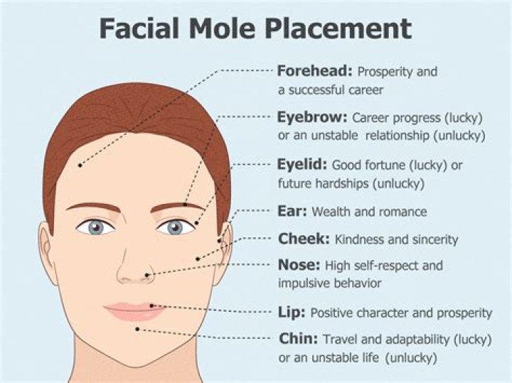 What does Mole Hole mean