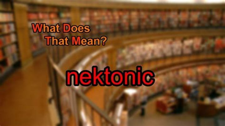 What does Nektonic mean