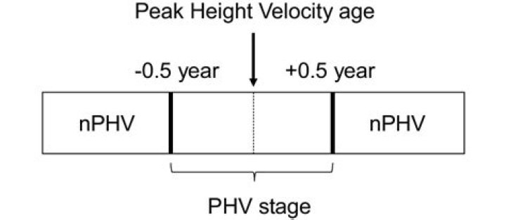 What does PHV stand for