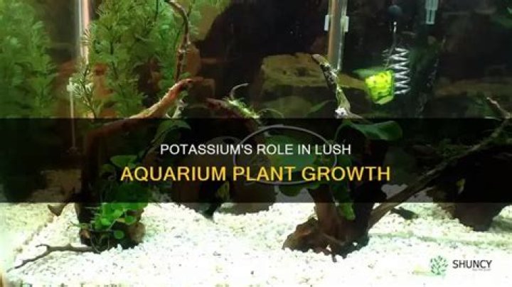 What does potassium do for aquarium plants