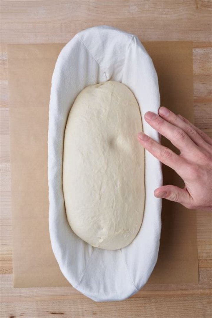 What does proofing bread dough mean