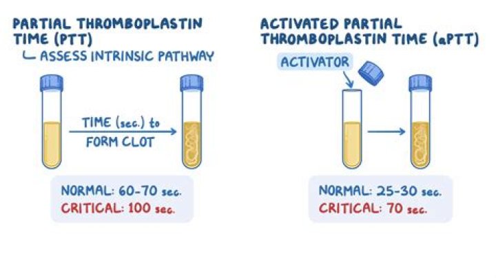 What does PT mean in chemical reaction