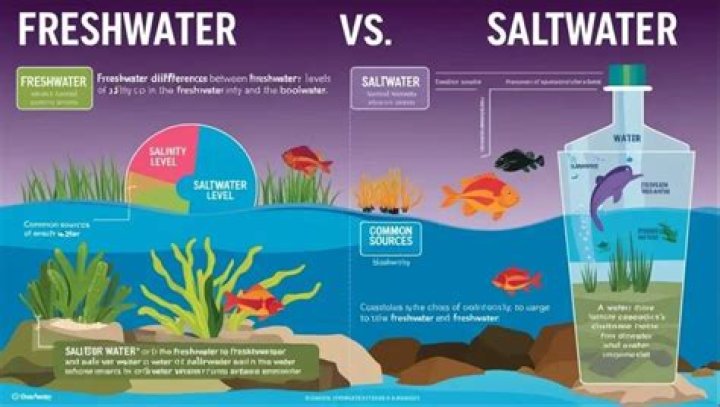 What does salt water do to grass