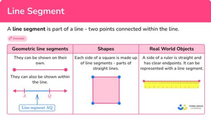 What does Segment 2 consist of