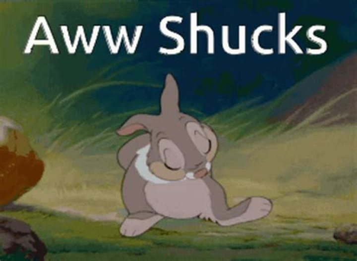 What does shucks mean in Tom Sawyer