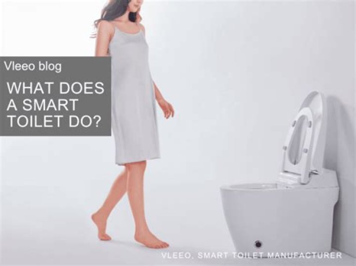 What does Smart Toilet mean to you