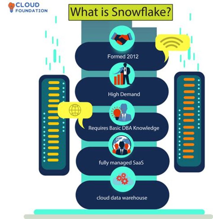 What does Snowflake software do