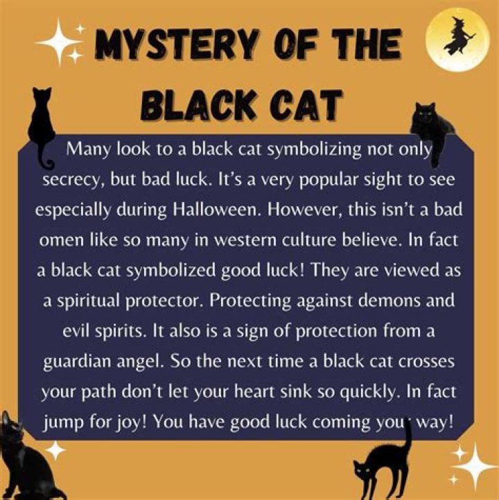 What does the black cat symbolize in the Black Cat