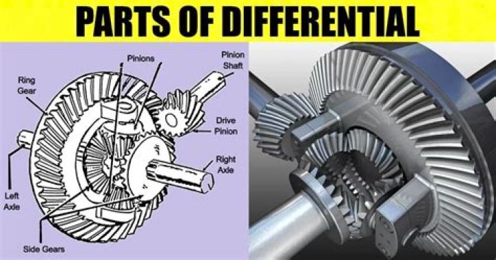 What does the differential do