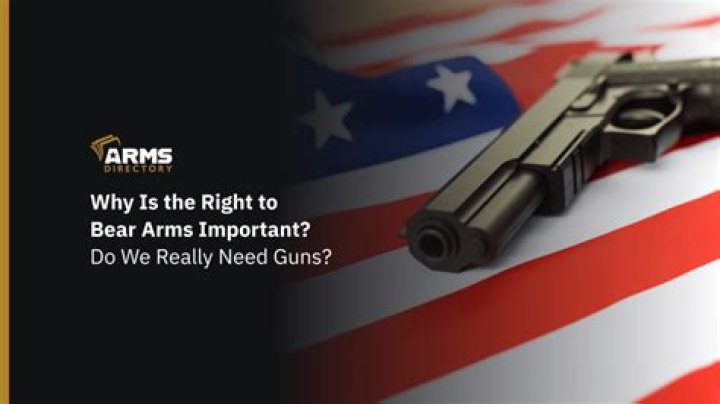 What does the Florida Constitution say about the right to bear arms
