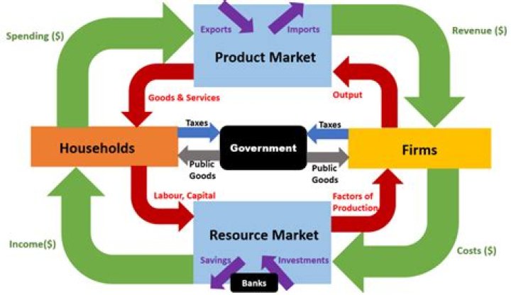 What does the government do in a free market
