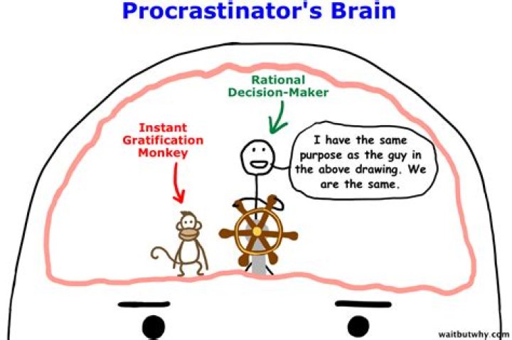 What does the instant gratification monkey do
