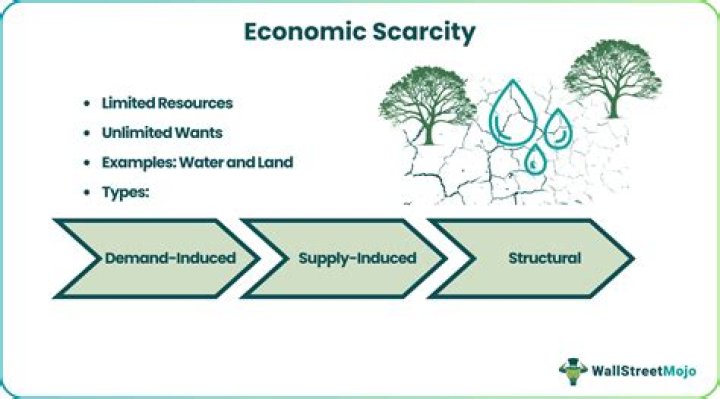 What does the law of scarcity state in economics