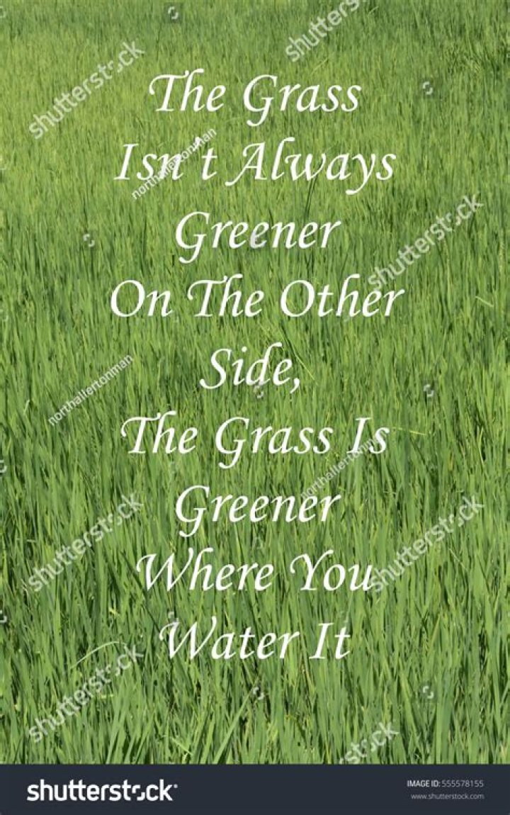 What does the line the grass is greener on the other side mean in the context of the poem The line is also a proverb What does it mean
