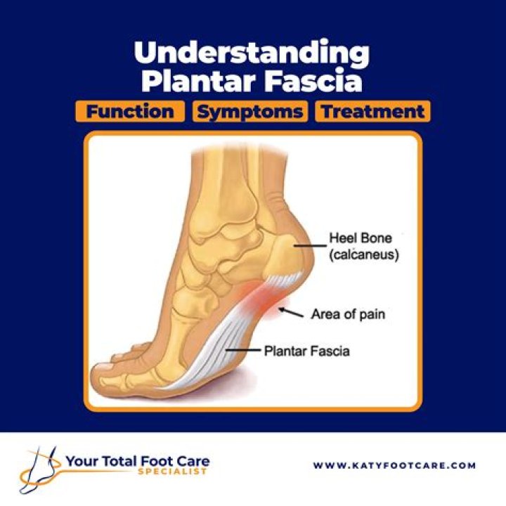 What does the plantar Interossei do