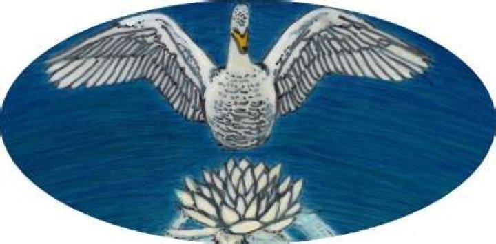 What does the Princess of Cups mean