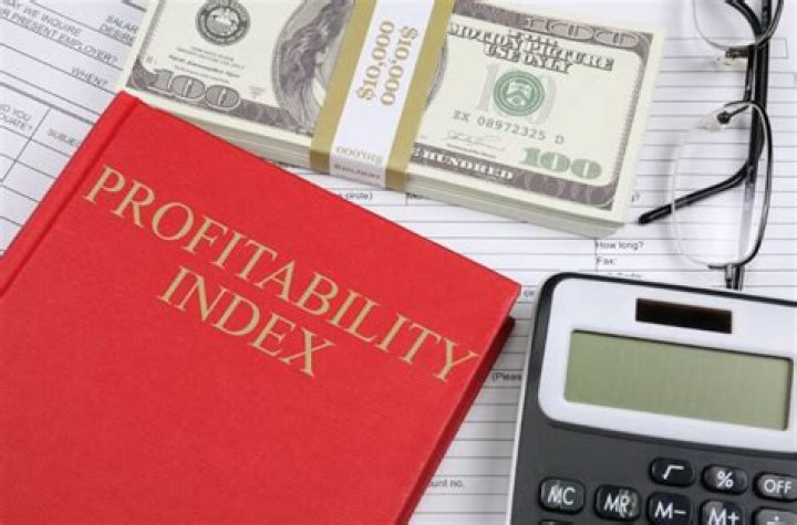 What does the profitability index measure