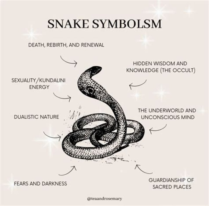 What does the snake symbolize in a narrow fellow in the grass