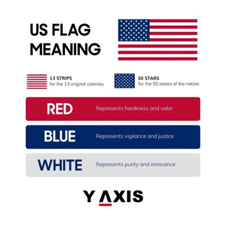 What does the Z flag mean