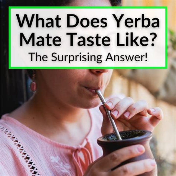 What does yerba santa taste like