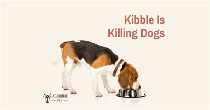 What dog food is killing dogs