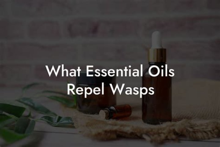 What essential oils kill wasps