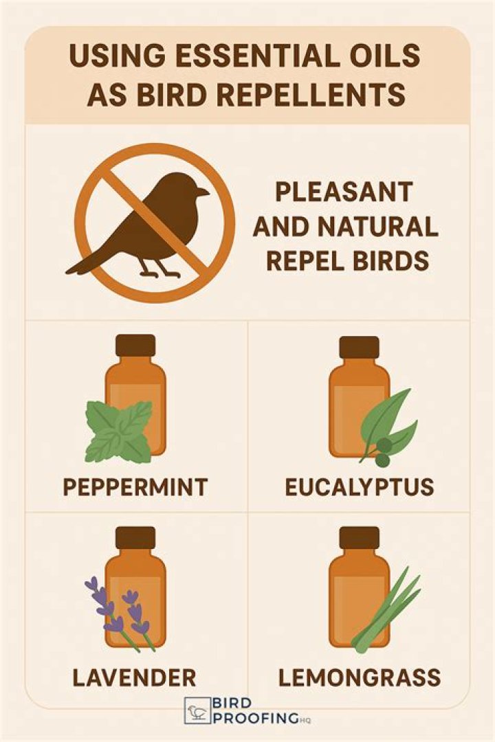 What essential oils repel dust mites