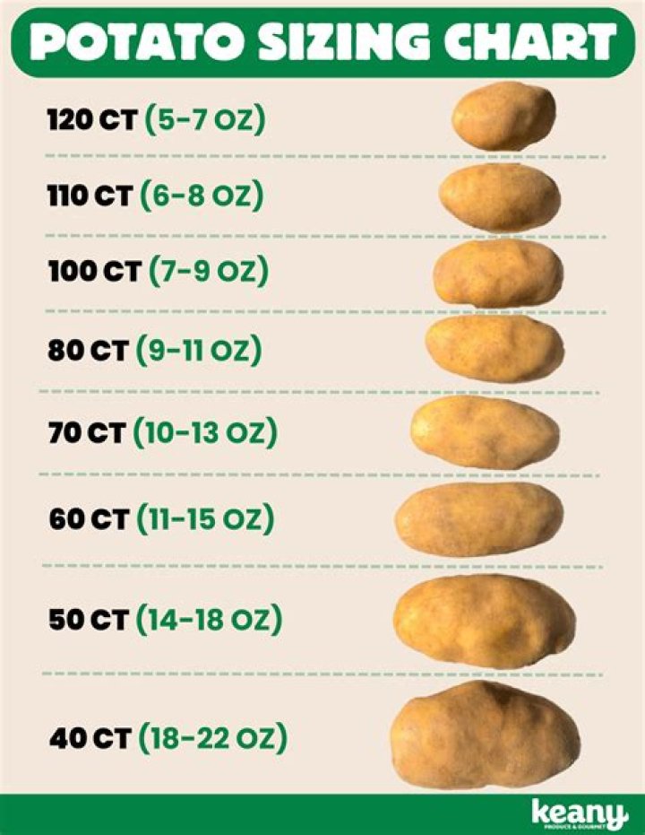 What family is the potato in