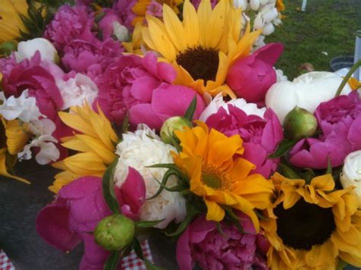 What flower goes well with peonies