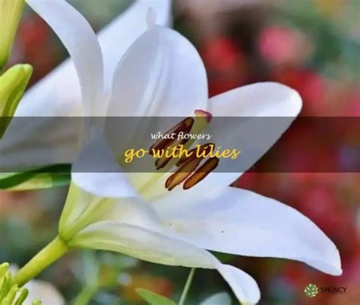 What flowers go with lilies