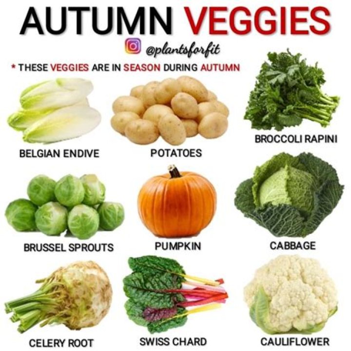 What food is in season in autumn