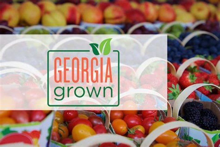What foods are grown in Texas
