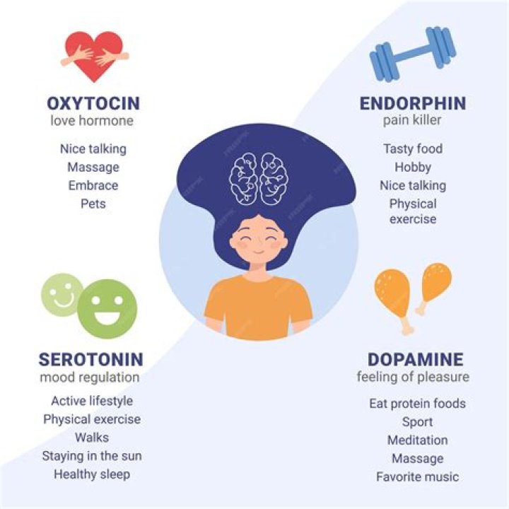 What foods increase serotonin levels in the brain