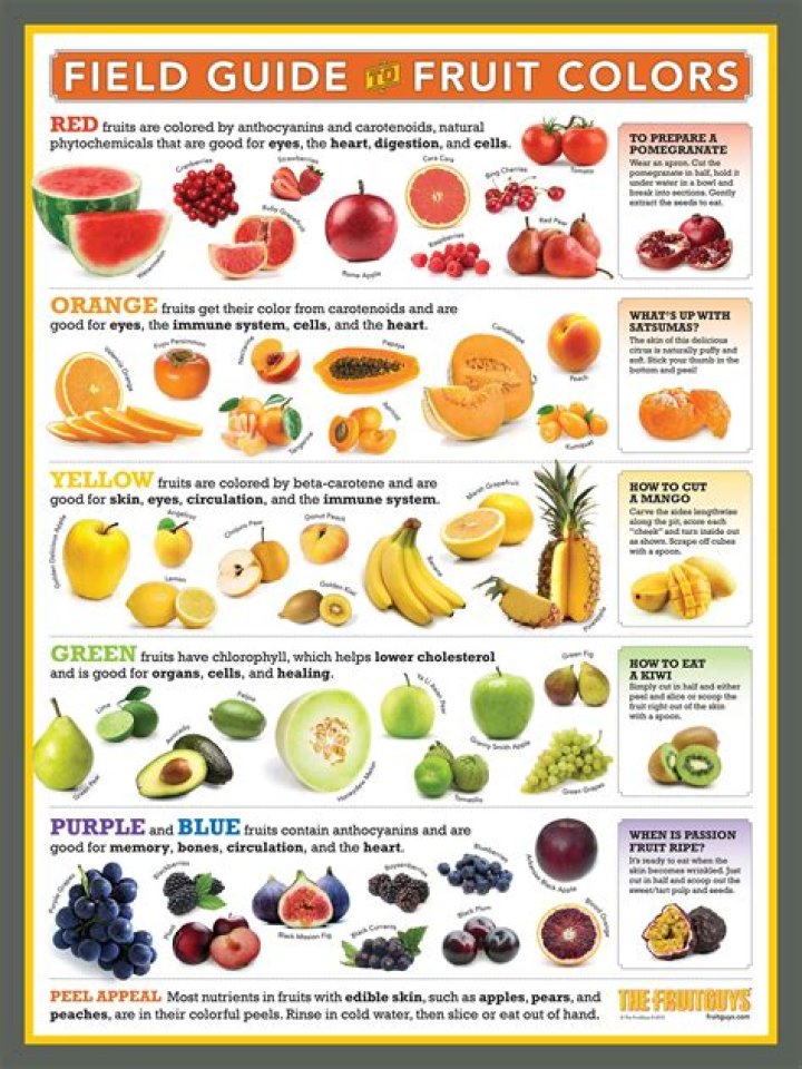 What forms of fruits are included in the Fruit Group